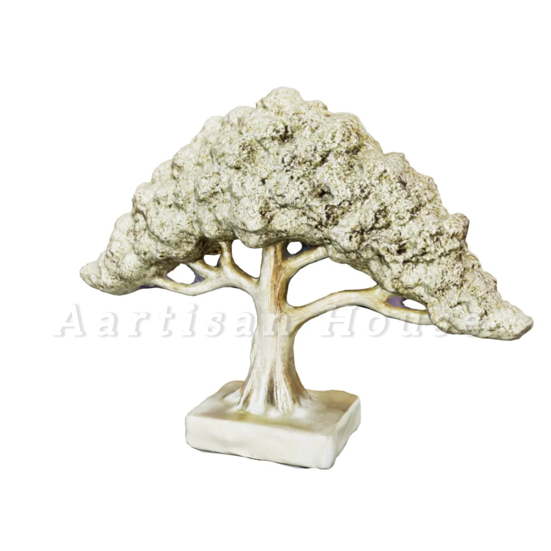 Feng Shui Bonsai Brilliance